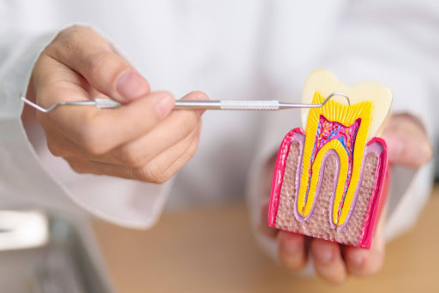 what to do if a root canal gets infected