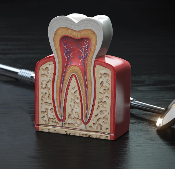 root canal therapy in Phoenix